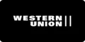 A dark button with the text "WESTERN UNION" in white, indicating a payment option. A mouse cursor is pointing at the button.